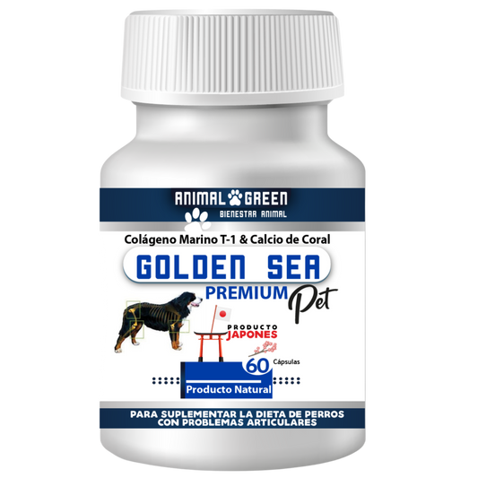 Golden Sea Premium – Cápsulas