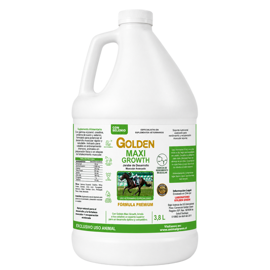 Golden Maxi Growth – Jarabe 3,8 Litros