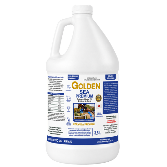 Golden Sea Pet  – Jarabe 3,8 Litros