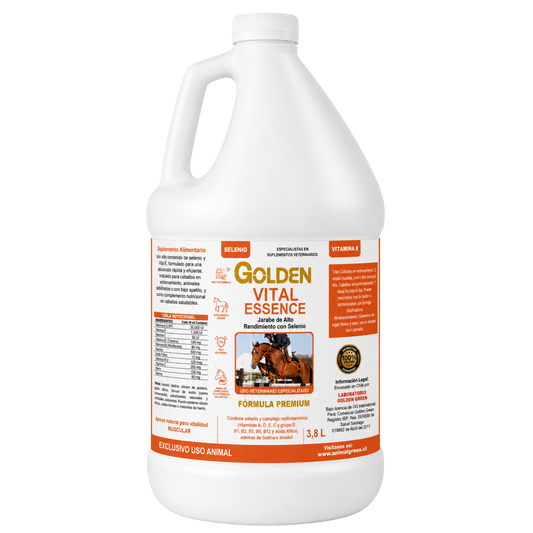 Golden Vital Essence – Jarabe 3,8 Litros