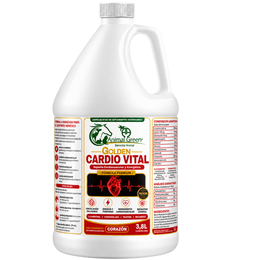 Golden Cardio Vital – Jarabe 3,8 Litros