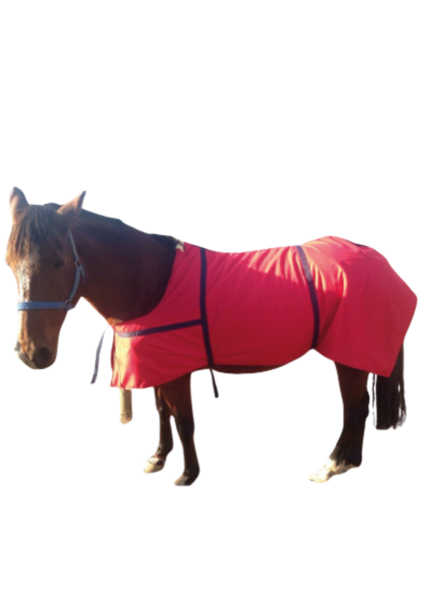 Carpa Impermeable para Caballos c/Ingles